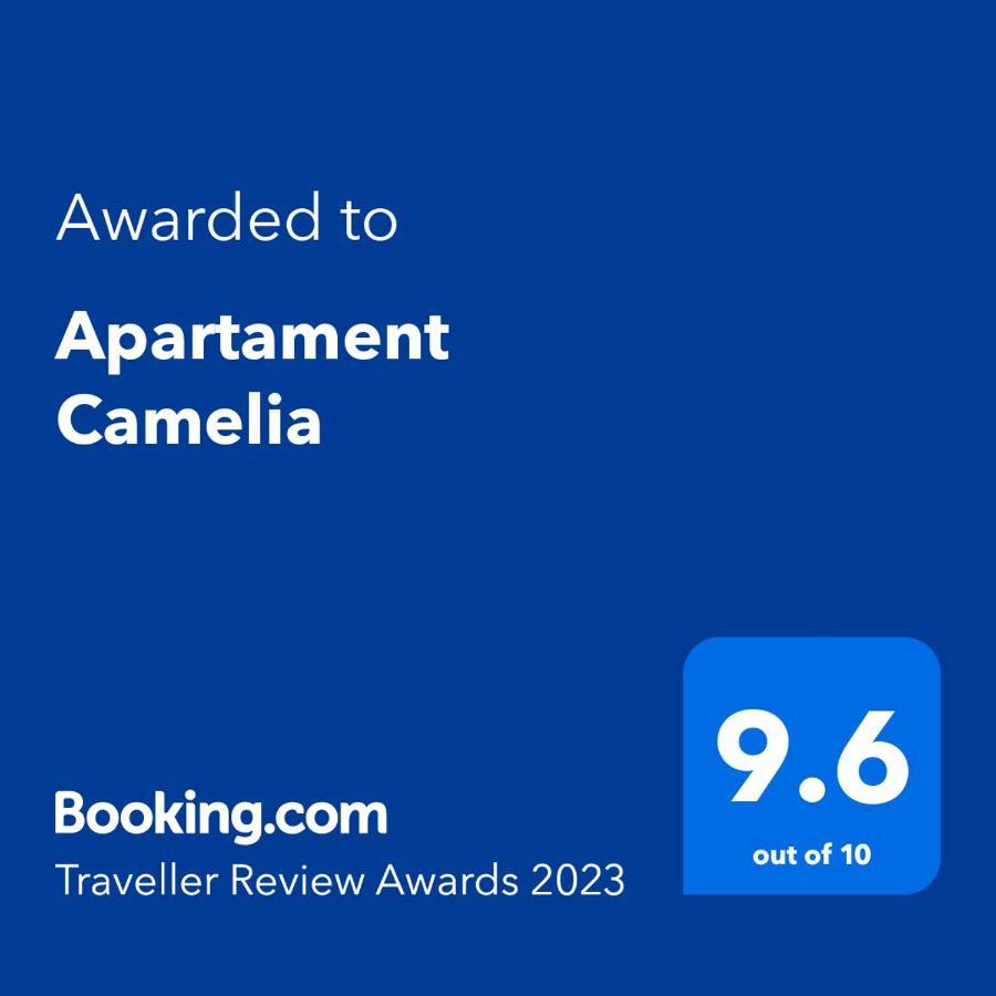 Apartament Camelia Petroszany Zewnętrze zdjęcie